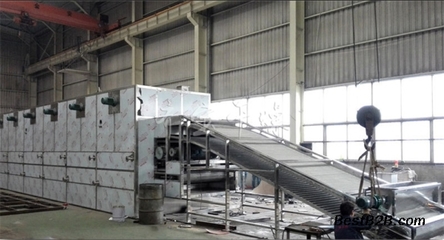 蘿卜絲干燥設備